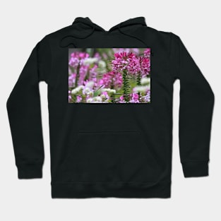 Spider Flowers (#2) Hoodie